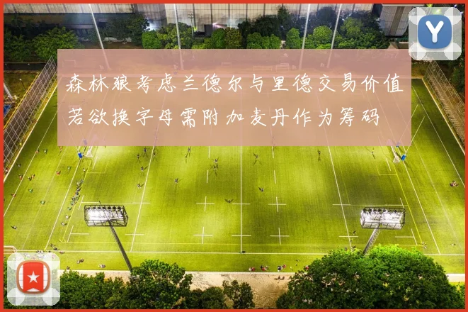 森林狼考虑兰德尔与里德交易价值若欲换字母需附加麦丹作为筹码